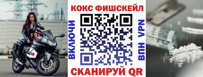 COCAIN Fish Scale  где купить   OMG ссылка  Новосиль 