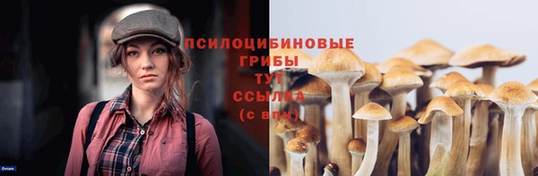 соль курить ск Бугульма