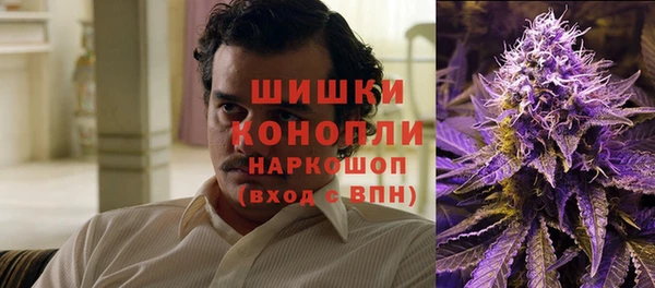соль ск Бронницы