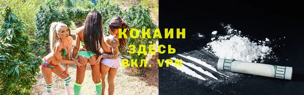соль ск Бронницы