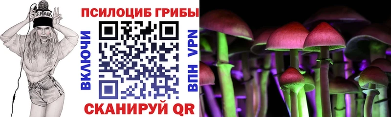 Галлюциногенные грибы MAGIC MUSHROOMS Новосиль